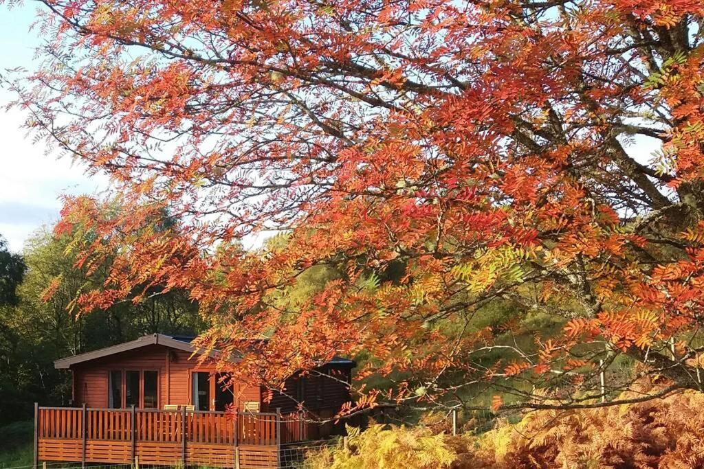 Glas Doire Lodge, Glen Roy Nature Reserve Roybridge Exterior foto
